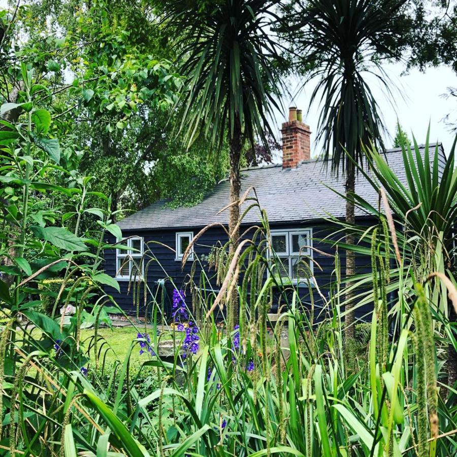 בברלי Thompsons Cottage מראה חיצוני תמונה